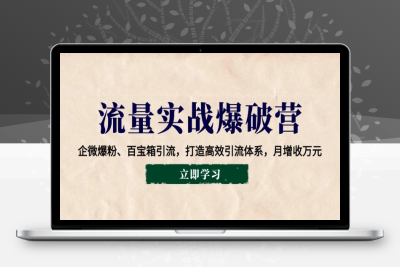 6376-流量实战⭐流量实战爆破营：企微爆粉、百宝箱引流，打造高效引流体系，月增收万元