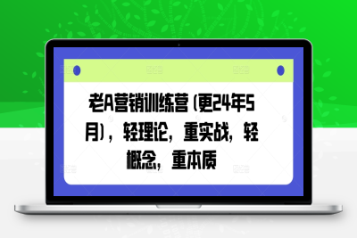 8454-333-20240529-老A营销训练营(更25年1月)，轻理论，重实战，轻概念，重本质