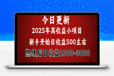 2025年开年好项目，日收益2000左右⭐2025开年好项目，新手日收益500  熟练掌握后，日收益平均2000多
