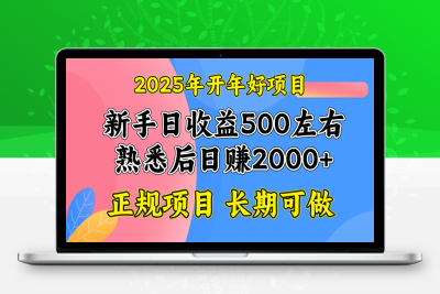 6361-25年开年好项目，轻资产创业项目，日收益2000123⭐2025开年好项目，单号日收益2000左右