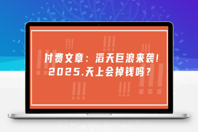 4721-057-20250208-付费文章：滔天巨浪来袭！2025天上会掉钱吗？
