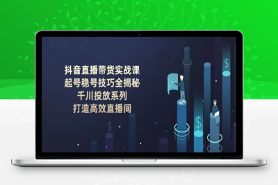 0719-2024-12-28-⭐抖音直播带货实战课：起号稳号技巧全揭秘, 千川投放系列, 打造高效直播间