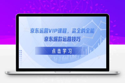 2007-077-20250210-京东运营VIP课程，最全的全能京东爆款运营技巧