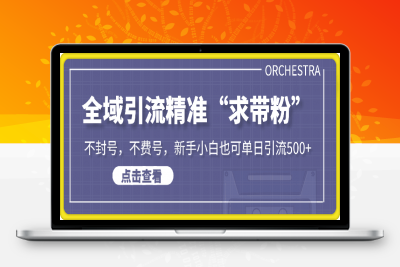 0213-2025年最新引流创业粉技术，全域引流精准“求带粉”，不封号，不费号，新手小白也可单日引流500+