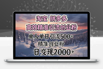 淘宝拼多多高效精准引流创业粉，单人单日引流500＋创业粉，日变现2000＋⭐电商平台创业粉