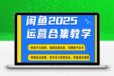 8744-187-20250219-2025闲鱼电商运营全集，2025最新咸鱼玩法