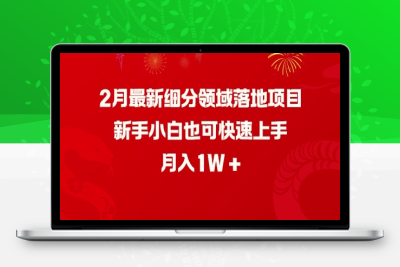 6361-244-20250223-2月最新细分领域落地项目，新手小白也可快速上手，月入1W