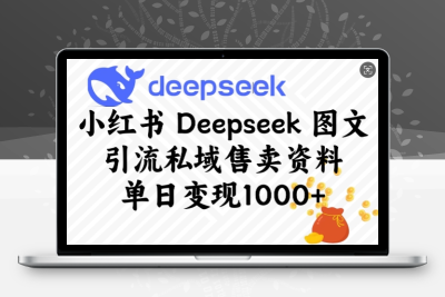 1140-254-20250224-小红书Deepseek图文引流私域售卖资料，单日变现多张