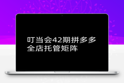 1512-290-20250226-叮当会拼多多打爆班原创高阶技术第42期，拼多多全店托管矩阵