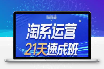 0137-227-20240520-淘系运营21天速成班(更新25年2月),0基础轻松搞定淘系运营，不做假把式⭐淘系运营21天速成班(更新25年2月)，0基础轻松搞定淘系运营，不做假把式