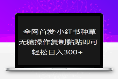 2789-037-20250303-全网首发，小红书种草无脑操作，复制黏贴即可，轻松日入3张
