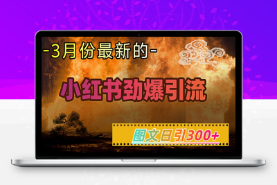 7650-039-20250304-小红书超劲爆引流手段，图文日引300 轻松变现1W⭐小红书超劲爆引流手段，图文日引300+轻松变现1W