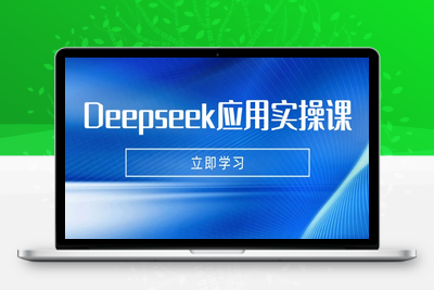 3357-Deepseek应用技巧⭐Deepseek应用实操课：AI制作数字妈妈、写真、短视频，辅导作业，PPT制作等