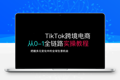 0426-215-20250317-TikTok跨境电商从0-1全链路全方位实操教程，把握多元变化中的全球生意机会