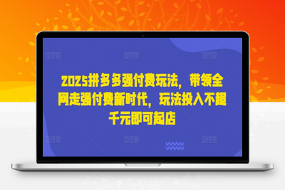 1568-040-20250404-2025拼多多强付费玩法，带领全网走强付费新时代，玩法投入不超千元即可起店