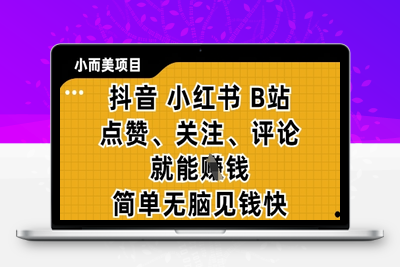 2497-小而美项目⭐小而美的项目，抖音小红书B站视频点赞、关注、评论就能挣钱，简单无脑立见收益，妥妥的零撸项目【揭秘】