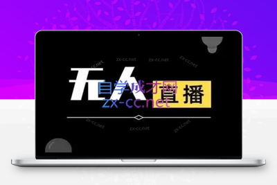 宝子哥·无人直播-非实时防风技术(更新5月)