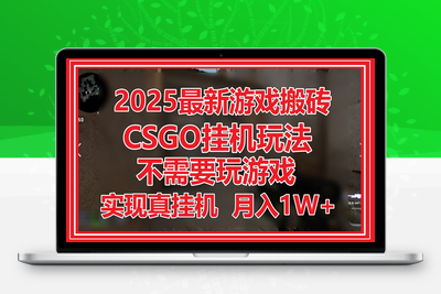 2025最新游戏搬砖，CSGO挂机，不需要玩游戏，实现真挂机，月入1W+