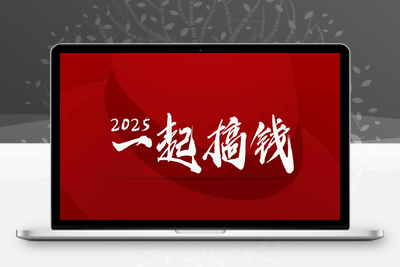 2025年，请“不择手段”去搞钱!