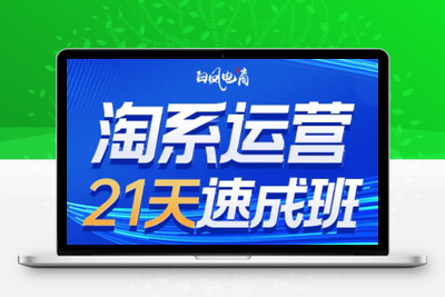 白凤电商·淘系运营21天速成班(更新5月)