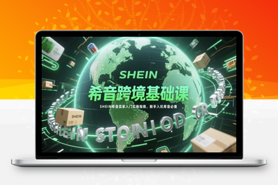 238-20250519-希音跨境基础课，SHEIN希音卖家入门实操指南，新手入坑希音必看