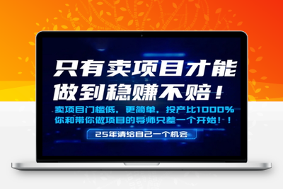 2025年如何通过知识付费月入10W，年入百W⭐只有卖项目才能做到稳挣不赔，门槛低，更简单，你也可以年入百个W【揭秘】