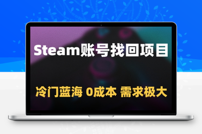 271-20250521-Steam账号找回项目，冷门蓝海，0成本，需求极大