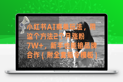 276-20250522-小红书AI商单玩法，用这个方法2个月涨粉7W+，新手也能接品牌合作(附全套指令模板)
