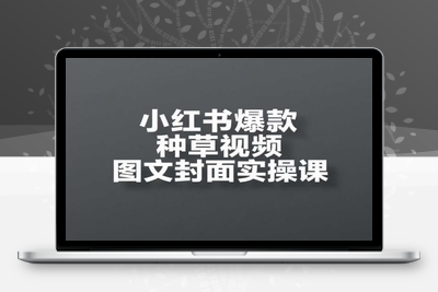 313-20250525-小红书爆款种草视频图文封面实操课，​开店、选品、引流、变现全流程