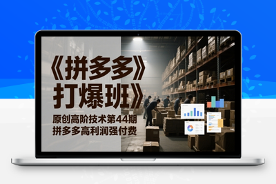 314-20250525-《拼多多打爆班》原创高阶技术第44期，拼多多高利润强付费
