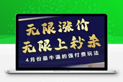 197-20250414-4月12号拼多多线上课，无限涨价，无限上秒杀，4月份最牛逼的强付费玩法⭐拼多多线上课，无限涨价，无限上秒杀，4月份最牛逼的强付费玩法【更新】