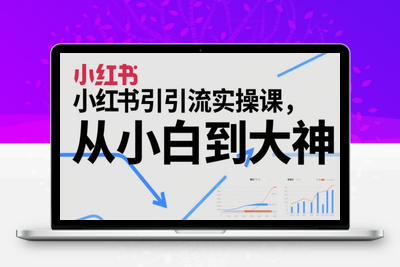 337-20250527-小红书引流实操课，从小白到大神