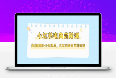 2025-02-28-张宾·小红书批量复制铺货课⭐小红书电商高阶课，多店矩阵+卡位选品，大红海类目突围指南(更新5月)