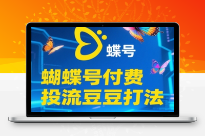 025-20250603-2025蝴蝶号付费投流豆豆打法，助新手快速掌握付费流量撬动自然流的核心玩法