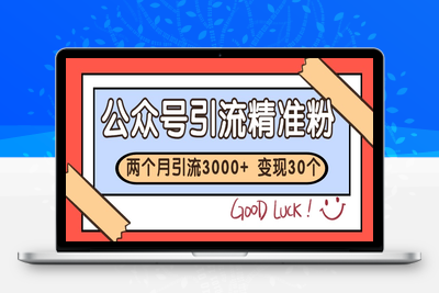 2025-06-04-公众号精准粉引流玩法 2个月3000+精准粉 变现30万+