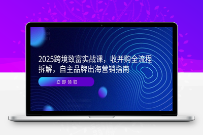 2025跨境致富实战课，收并购全流程拆解，自主品牌出海营销指南