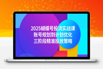 蝴蝶号付费投流⭐2025蝴蝶号投流实战课，账号规划到计划优化，三阶段精准投放策略