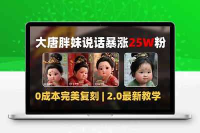 085-20250609-AI大唐胖贵妃说话2.0，40条视频暴涨40w粉，附独家变现攻略