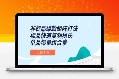 非标品爆款矩阵打法，标品快速复制秘诀，单品爆量组合拳
