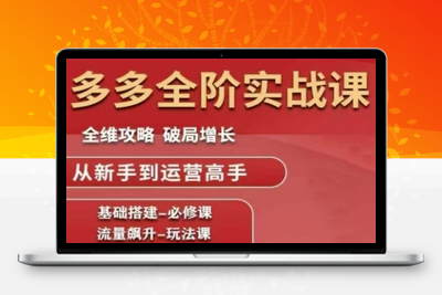 162-20250614-拼多多全阶实战课程，全维攻略，破局增长，从新手到运营高手