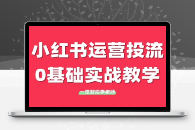 李老师·小红书运营投流，0基础实战教学(更新)