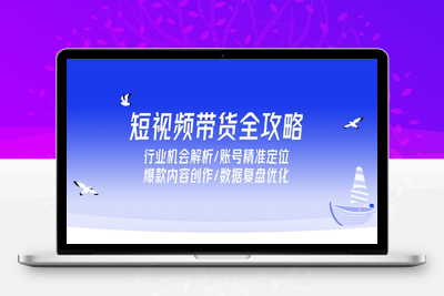 短视频带货全攻略，行业机会解析/账号精准定位/爆款内容创作/数据复盘优化