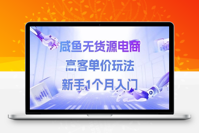 195-20250617-咸鱼无货源电商，高客单价玩法，新手1个月入门