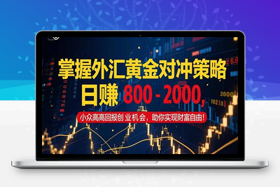 美金先登计划优化版⭐掌握外汇黄金对冲策略，日赚 800 - 2000，小众高回报创业机会，助你实...