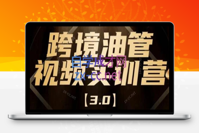 阿蔺Leo·跨境油管视频YouTube实训营(更新2025)