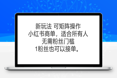 356-20250627-可矩阵操作，小红书商单新玩法，适合所有人，无需粉丝门槛，1粉丝也可以接单