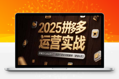 2025拼多多运营实战：店铺定位选品技巧，爆款打造全流程解析(更新6月