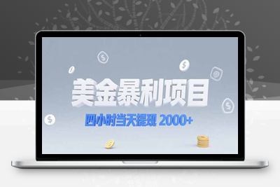 美金暴利项目，四小时当天提现 2000+机会留给会选赛道的人