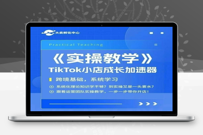 037-20250703-大卖家孵化中心TikTok实操课，TikTok小店成长加速器，跨境基础系统学习，一步一步带你开店