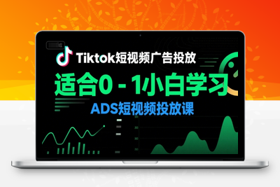 055-20250704-Tiktok短视频广告投放，适合0-1小白学习ADS短视频投放课